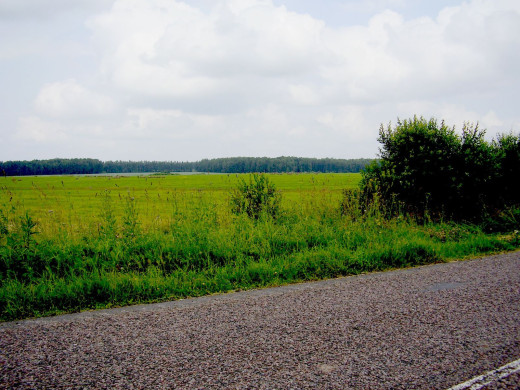 25356 (a): :1600x1200